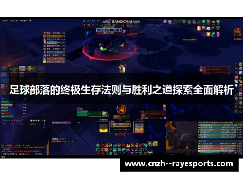 足球部落的终极生存法则与胜利之道探索全面解析