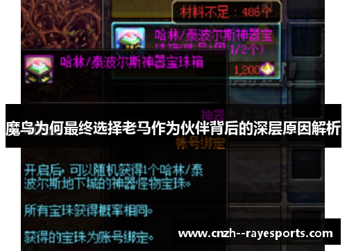 魔鸟为何最终选择老马作为伙伴背后的深层原因解析